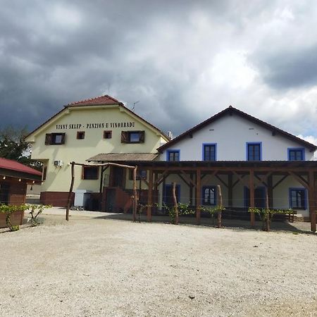 Vinny Sklep A Penzion U Vinohradu Velke Bilovice Bagian luar foto