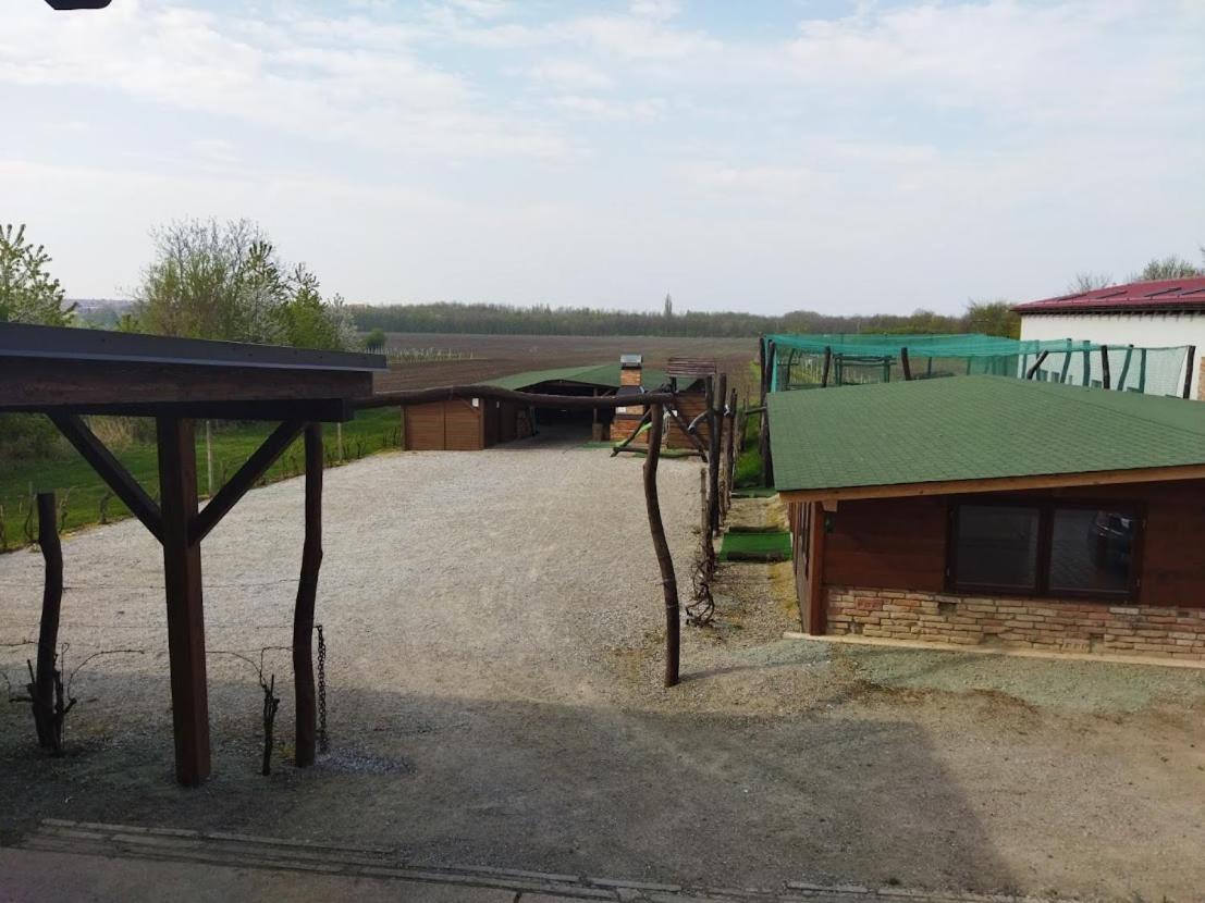 Vinny Sklep A Penzion U Vinohradu Velke Bilovice Bagian luar foto
